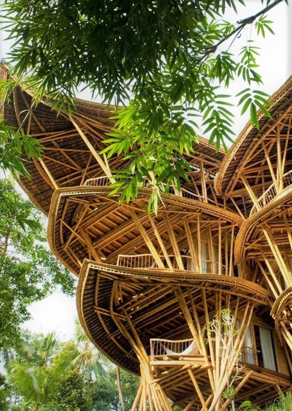 Bamboo Houses
