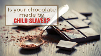 Cocoa – Chocolate and Child Slavery