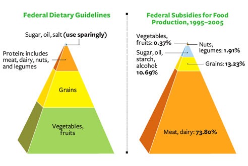 Food Subsidies