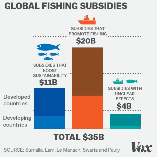 Fishing Subsidies